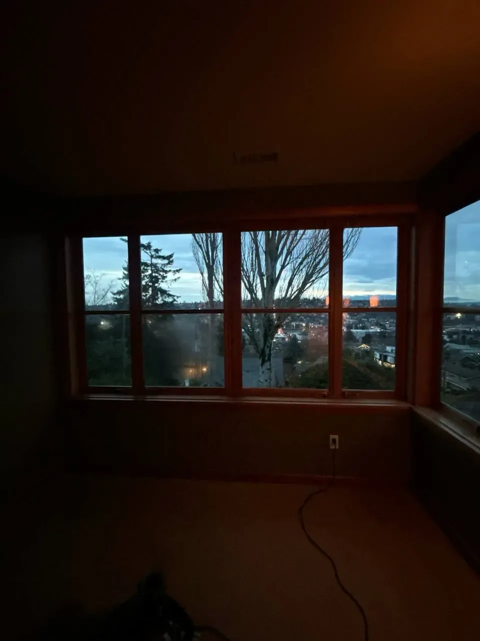 Wood-framed residential windows with a cloudy lower pane overlooking trees and homes.