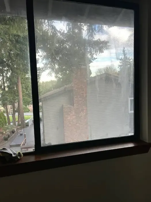Cloudy residential window glass overlooking a neighboring home and trees.
