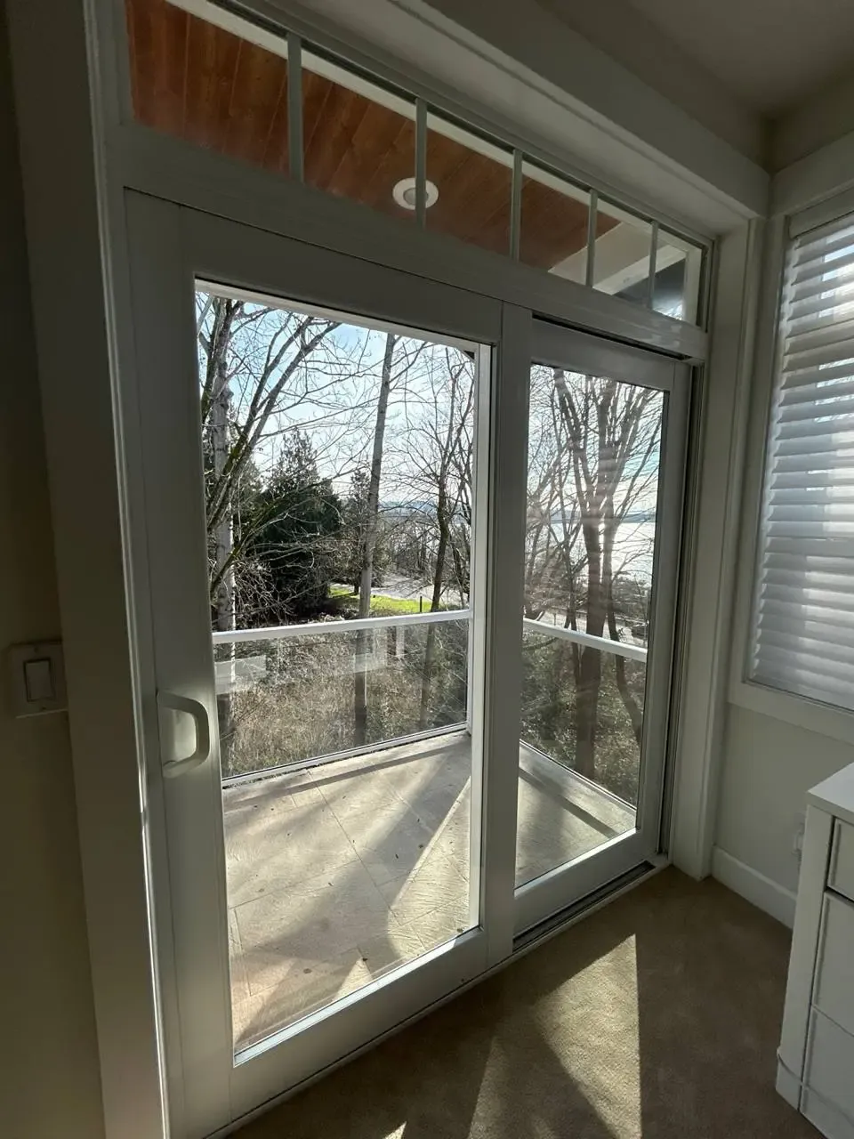 A white-framed sliding glass patio door viewed from indoors.