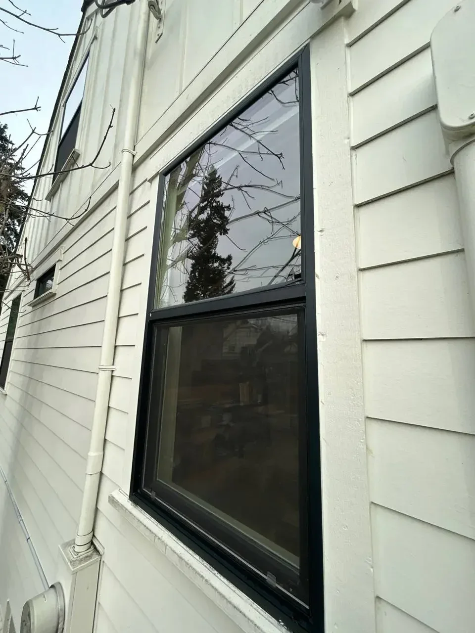 Dark-framed residential window reflecting trees, set into pale horizontal siding.